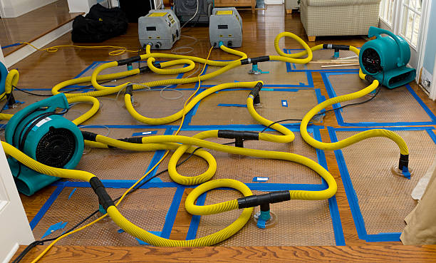 Professional Sewage Cleanup technician working in Livermore Falls, ME